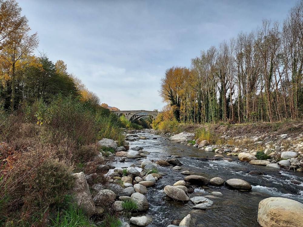 Le Tech et son pont vus depuis les berges à Céret